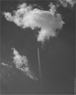 2022 06 16(146)