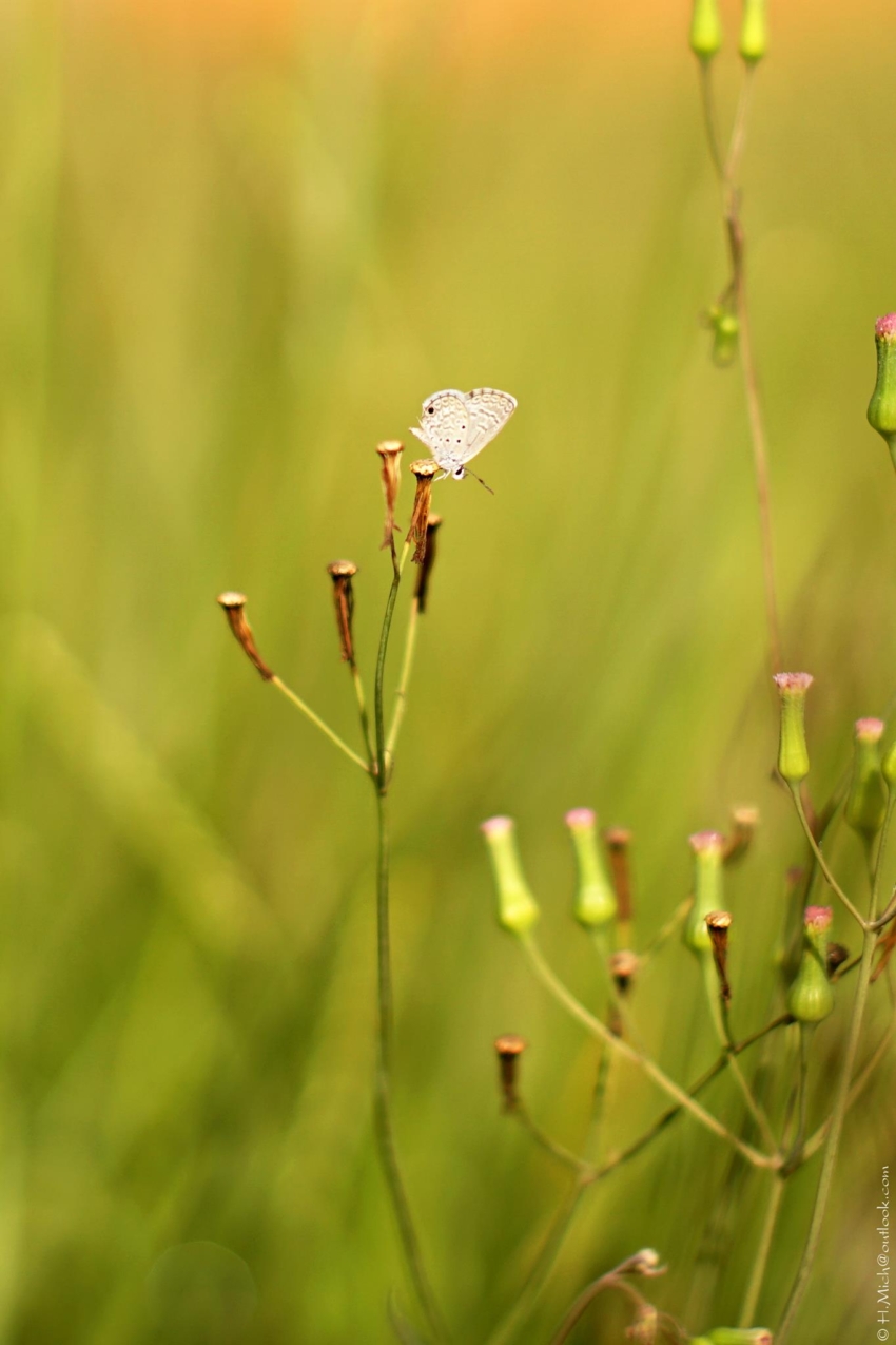Studio-One.Art.br Repo Fotografia em Rio Preto SP/Brasil