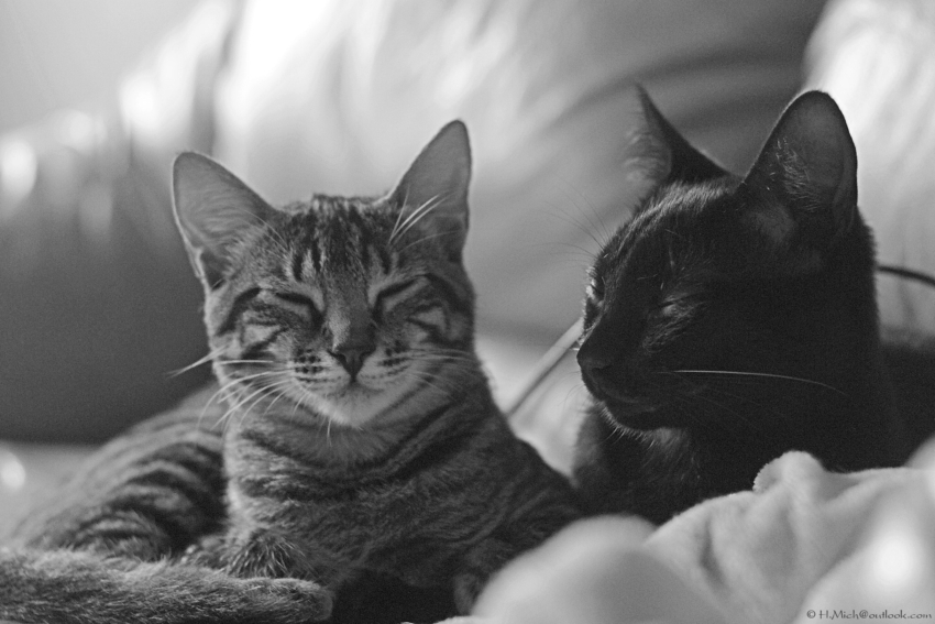 Studio-One.Art.br Repo Fotografia em Rio Preto SP/Brasil