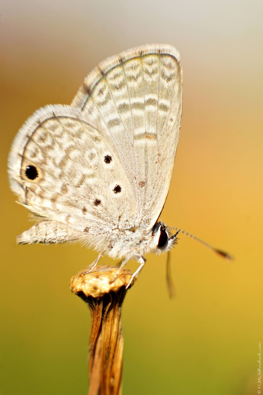Studio-One.Art.br Repo Fotografia em Rio Preto SP/Brasil