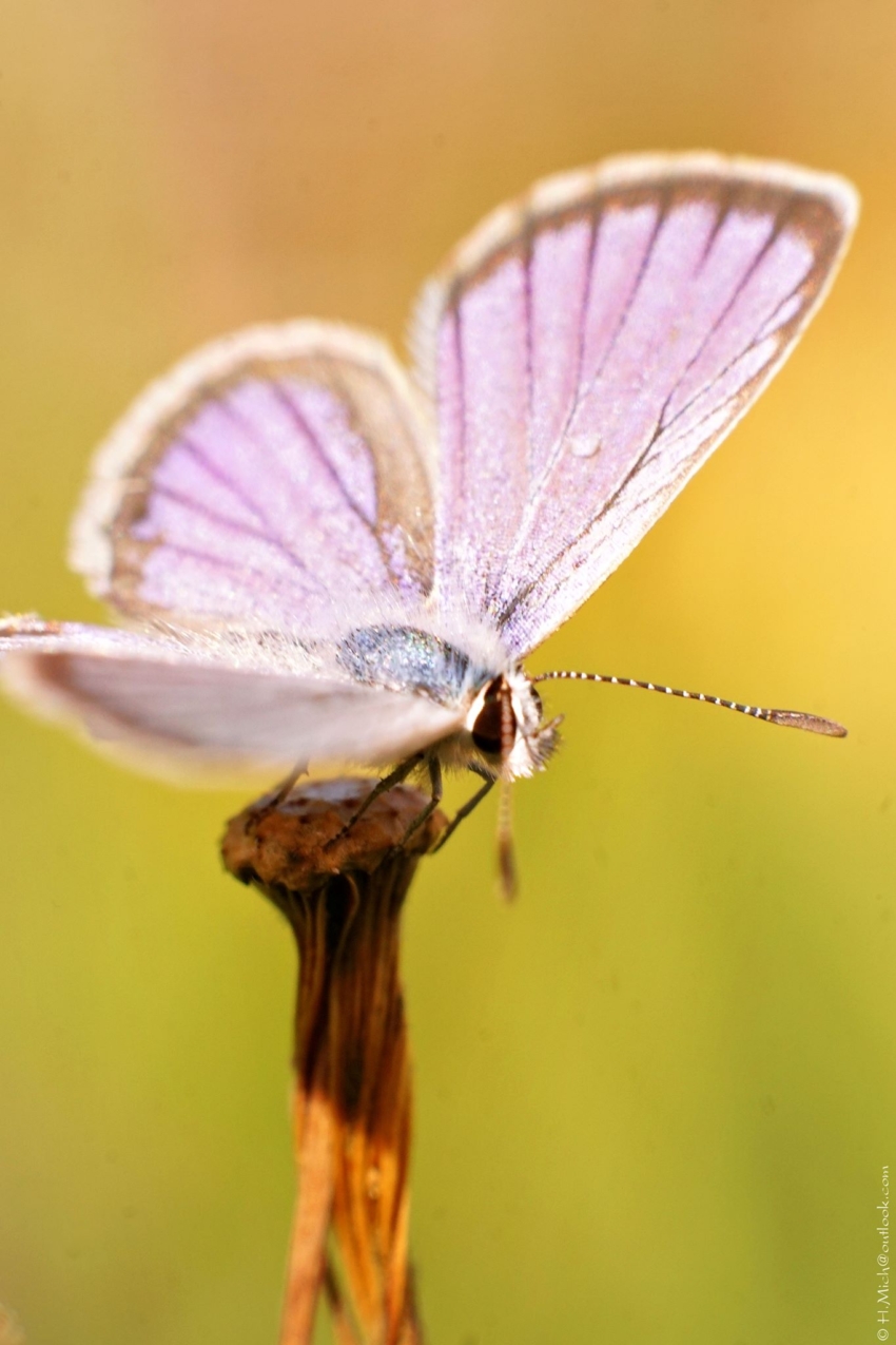 Studio-One.Art.br Repo Fotografia em Rio Preto SP/Brasil
