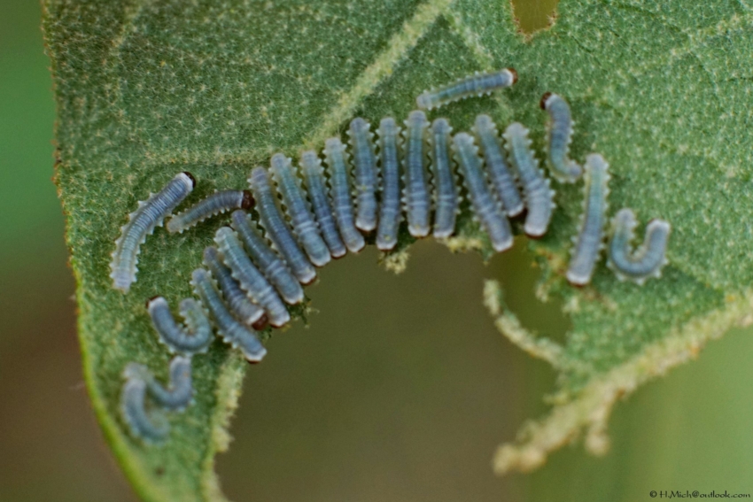 Studio-One.Art.br Repo Fotografia em Rio Preto SP/Brasil