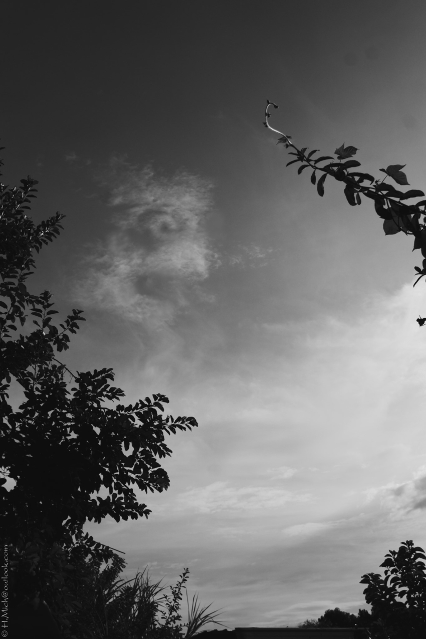 Studio-One.Art.br Repo Fotografia em Rio Preto SP/Brasil