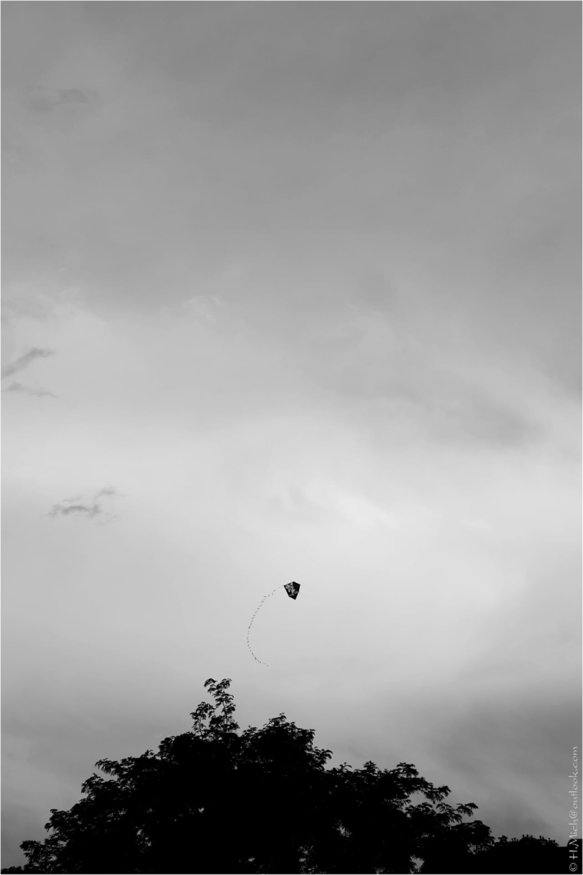 Studio-One.Art.br Repo Fotografia em Rio Preto SP/Brasil