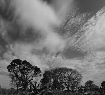 © H.mich@outlook.com