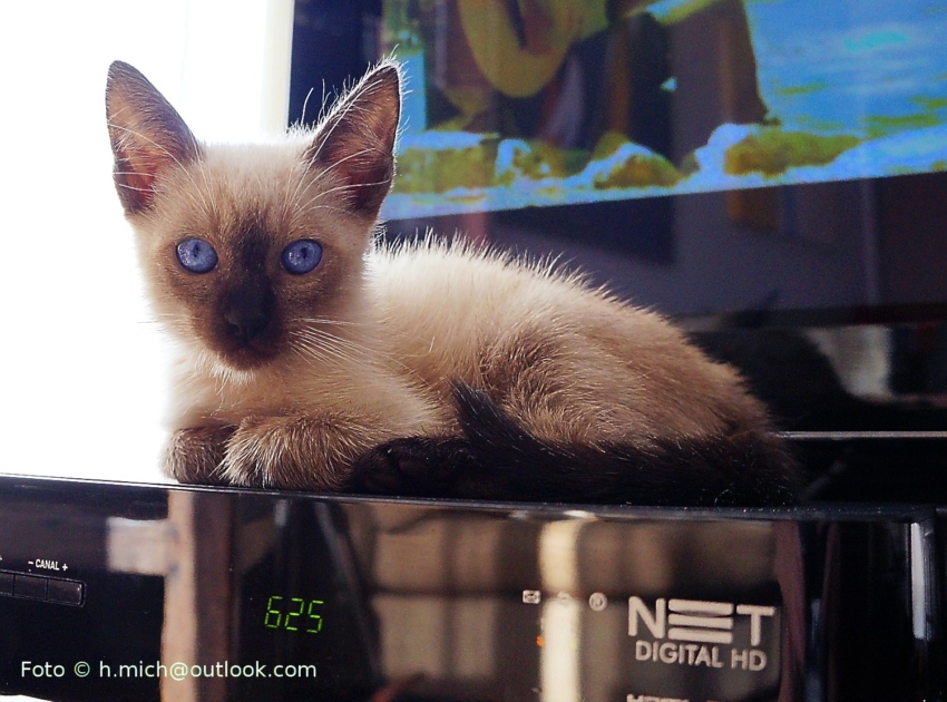 Studio-One.Art.br Repo Fotografia em Rio Preto SP/Brasil