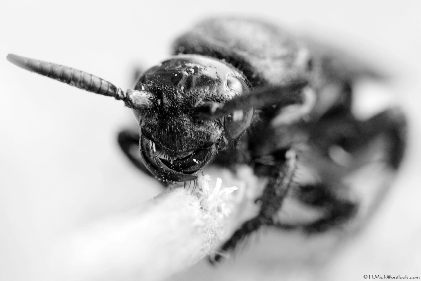 Studio-One.Art.br Repo Fotografia em Rio Preto SP/Brasil