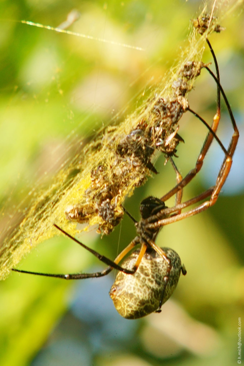 Studio-One.Art.br Repo Fotografia em Rio Preto SP/Brasil