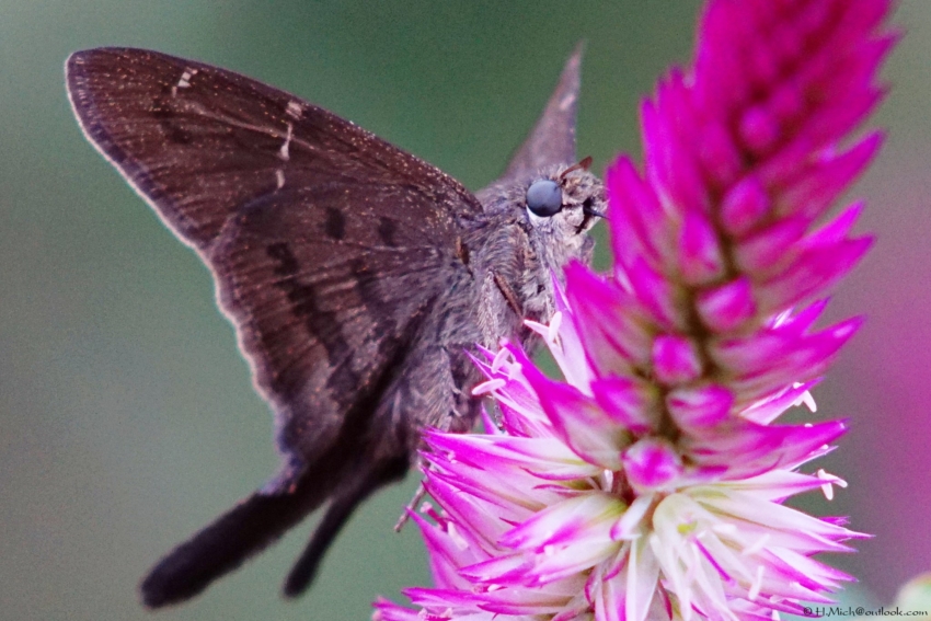 Studio-One.Art.br Repo Fotografia em Rio Preto SP/Brasil