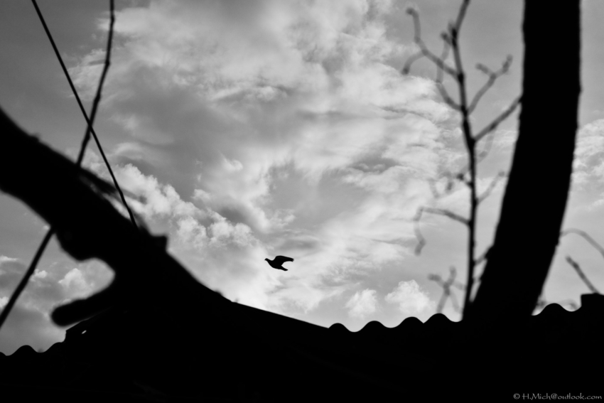 Studio-One.Art.br Repo Fotografia em Rio Preto SP/Brasil