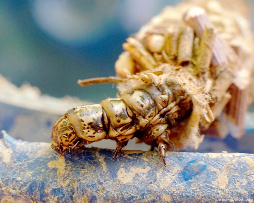 Studio-One.Art.br Repo Fotografia em Rio Preto SP/Brasil