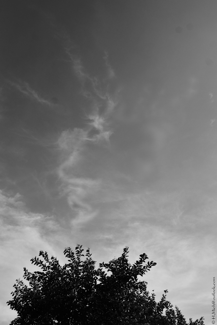 Studio-One.Art.br Repo Fotografia em Rio Preto SP/Brasil