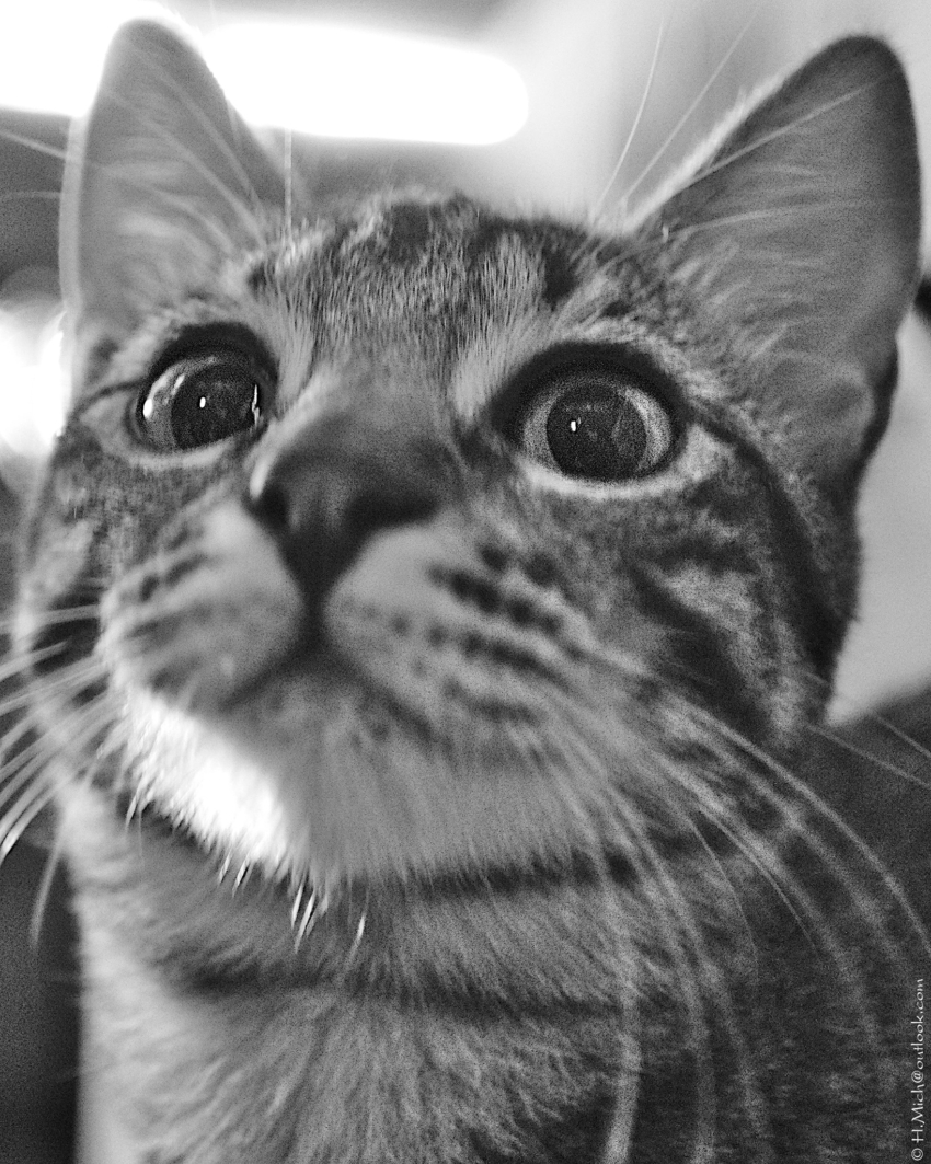 Studio-One.Art.br Repo Fotografia em Rio Preto SP/Brasil