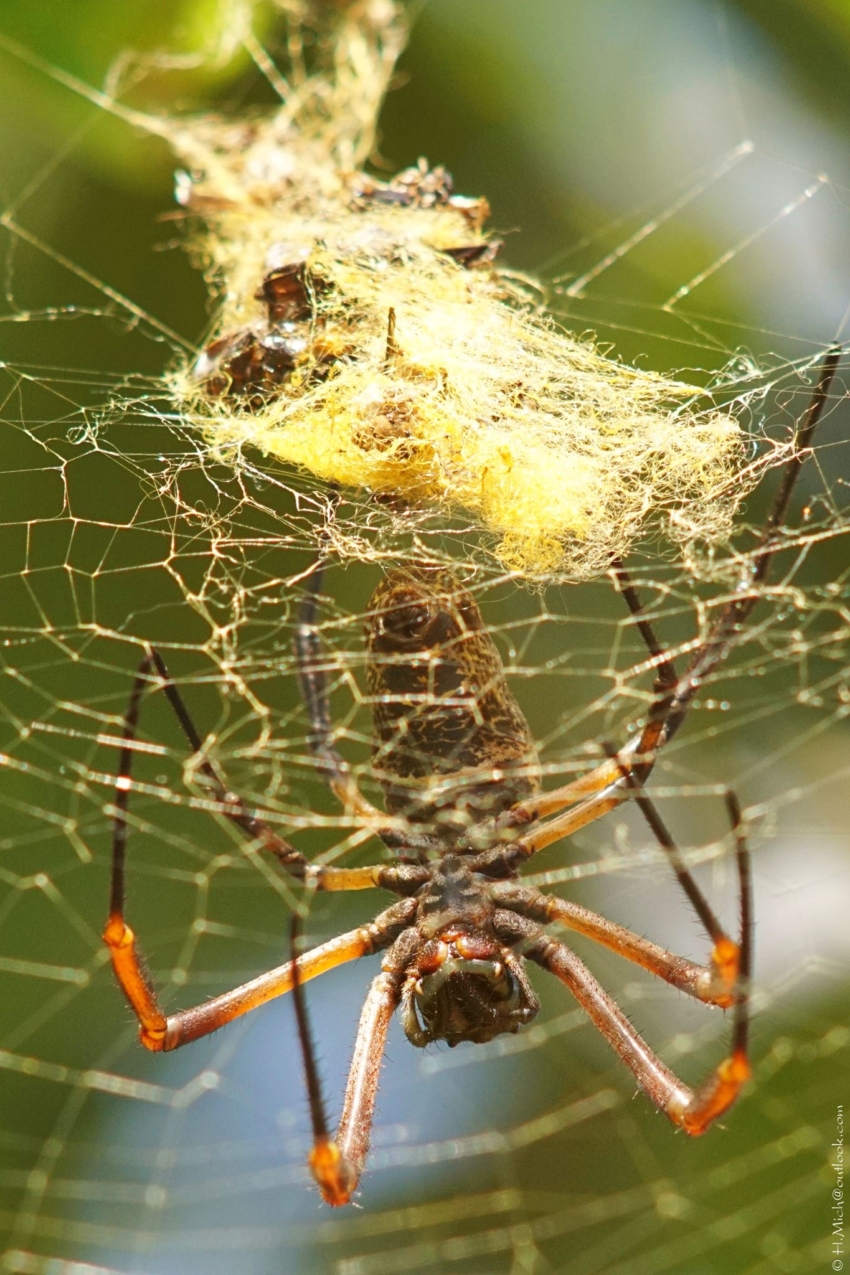 Studio-One.Art.br Repo Fotografia em Rio Preto SP/Brasil