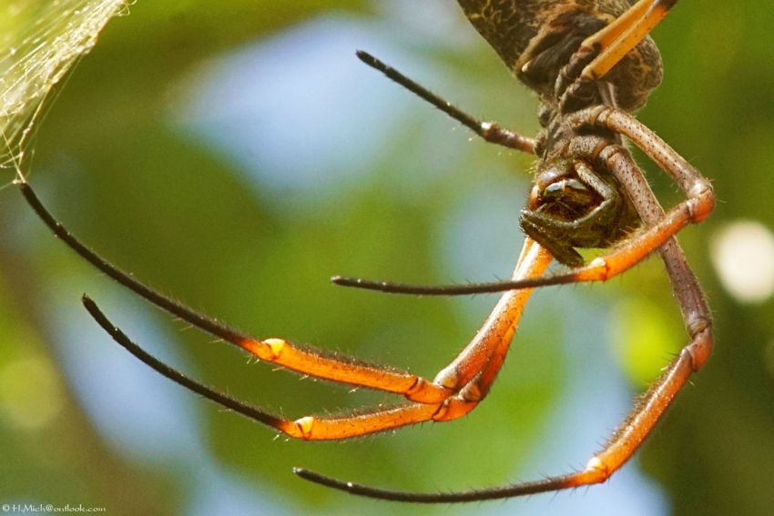 Studio-One.Art.br Repo Fotografia em Rio Preto SP/Brasil