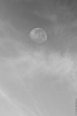 2022 06 16(154)