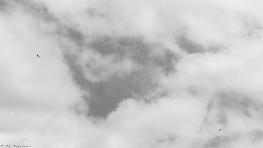 Studio-One.Art.br Repo Fotografia em Rio Preto SP/Brasil