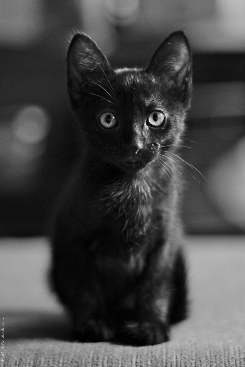 Studio-One.Art.br Repo Fotografia em Rio Preto SP/Brasil