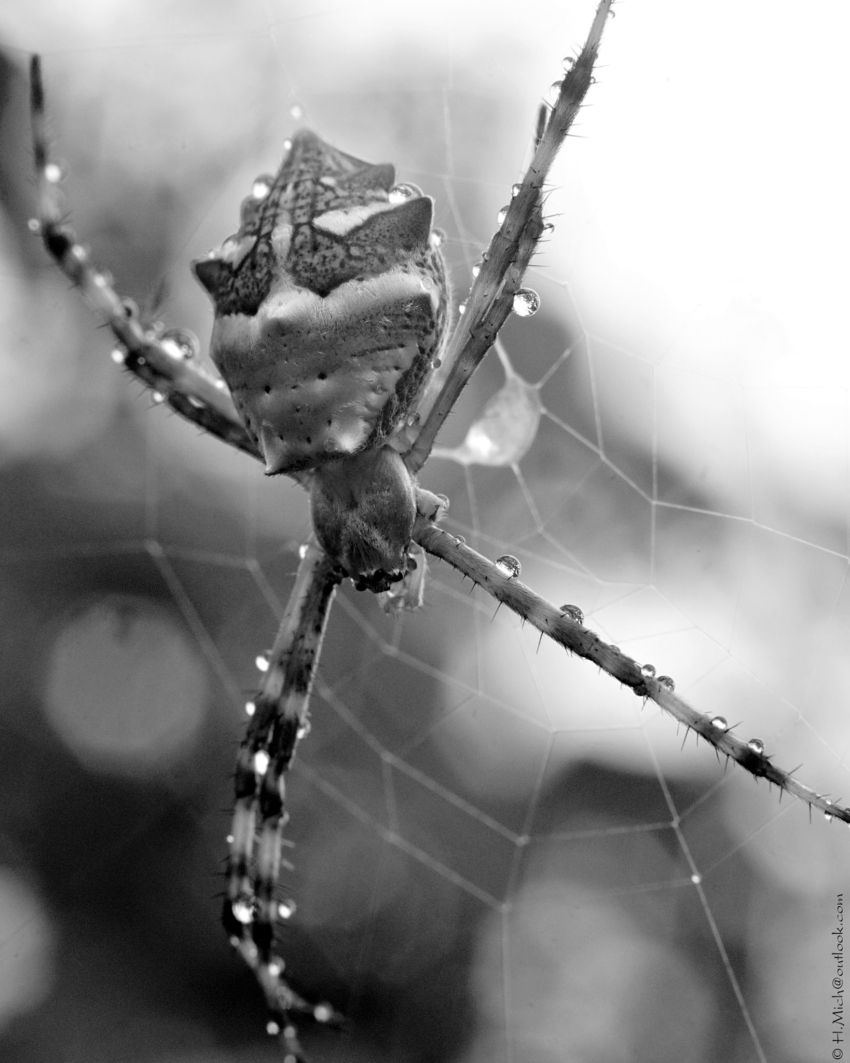 Studio-One.Art.br Repo Fotografia em Rio Preto SP/Brasil