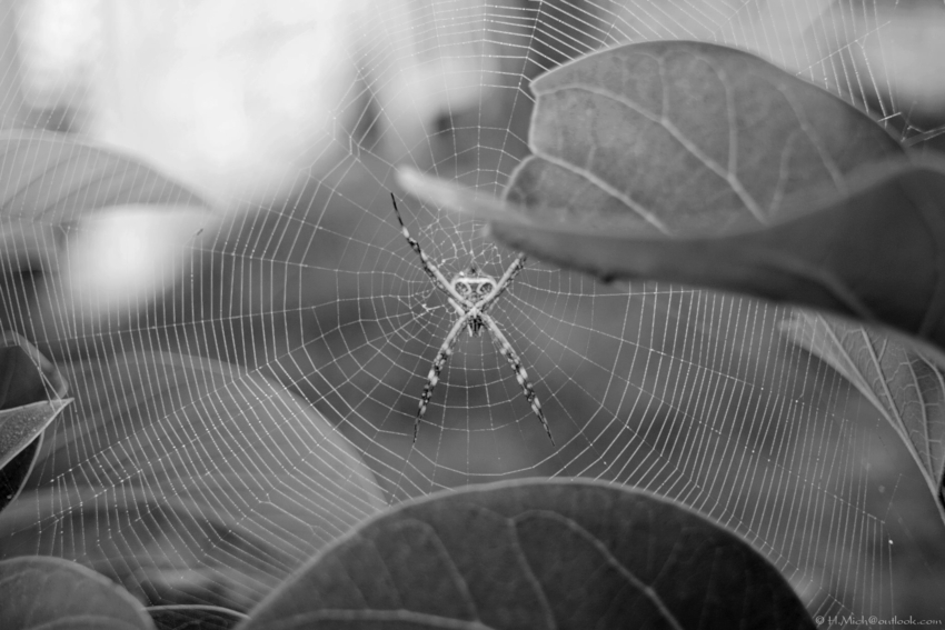 Studio-One.Art.br Repo Fotografia em Rio Preto SP/Brasil