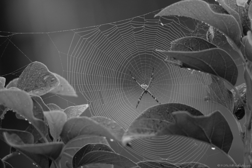 Studio-One.Art.br Repo Fotografia em Rio Preto SP/Brasil