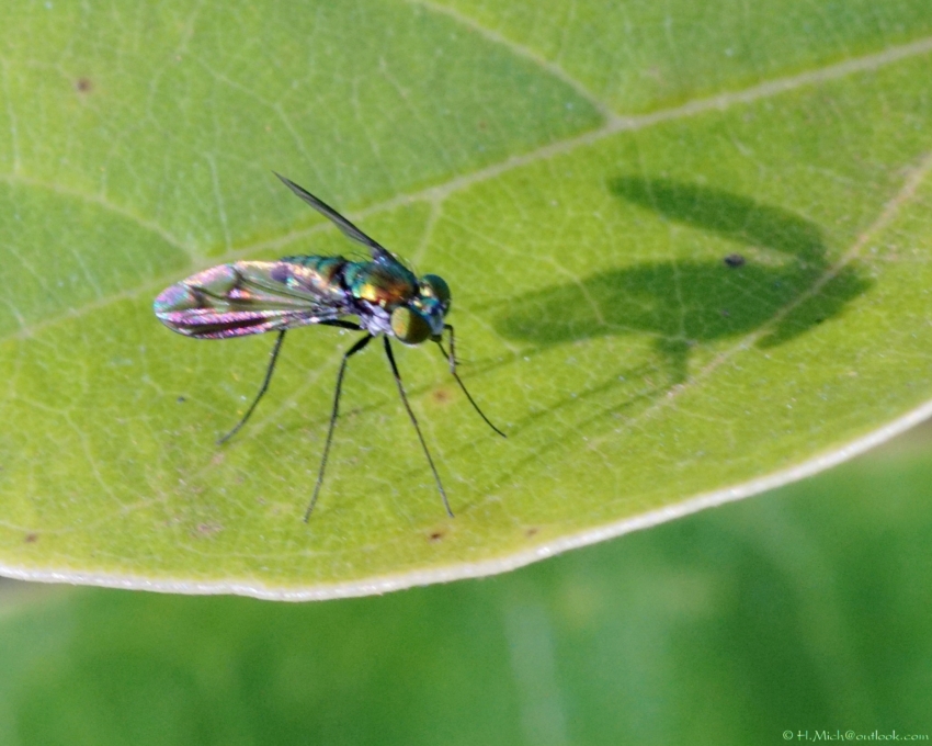 Studio-One.Art.br Repo Fotografia em Rio Preto SP/Brasil