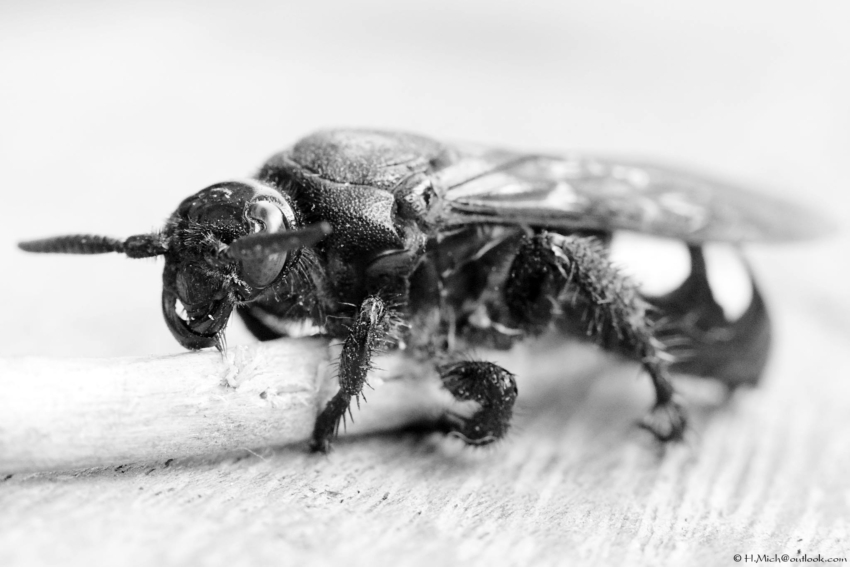 Studio-One.Art.br Repo Fotografia em Rio Preto SP/Brasil