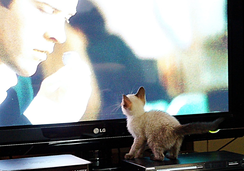 Studio-One.Art.br Repo Fotografia em Rio Preto SP/Brasil