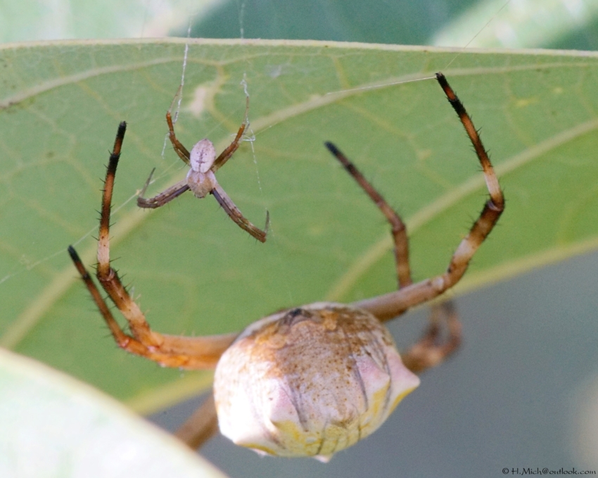 Studio-One.Art.br Repo Fotografia em Rio Preto SP/Brasil