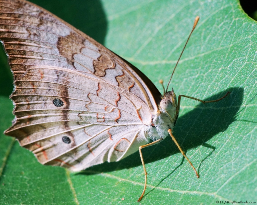 Studio-One.Art.br Repo Fotografia em Rio Preto SP/Brasil