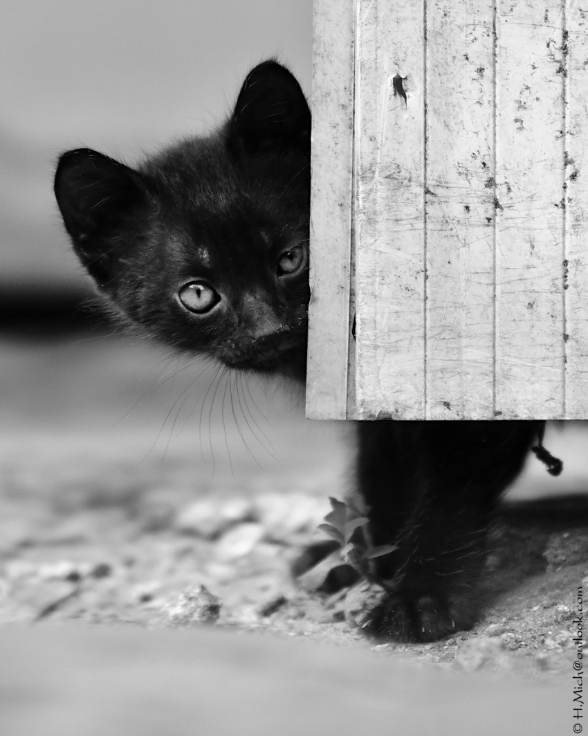 Studio-One.Art.br Repo Fotografia em Rio Preto SP/Brasil