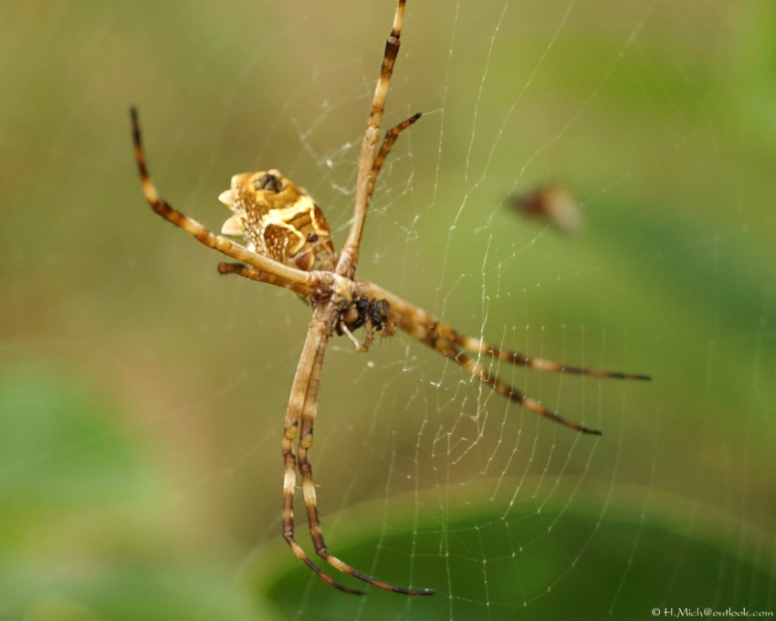 Studio-One.Art.br Repo Fotografia em Rio Preto SP/Brasil