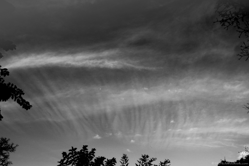 Studio-One.Art.br Repo Fotografia em Rio Preto SP/Brasil