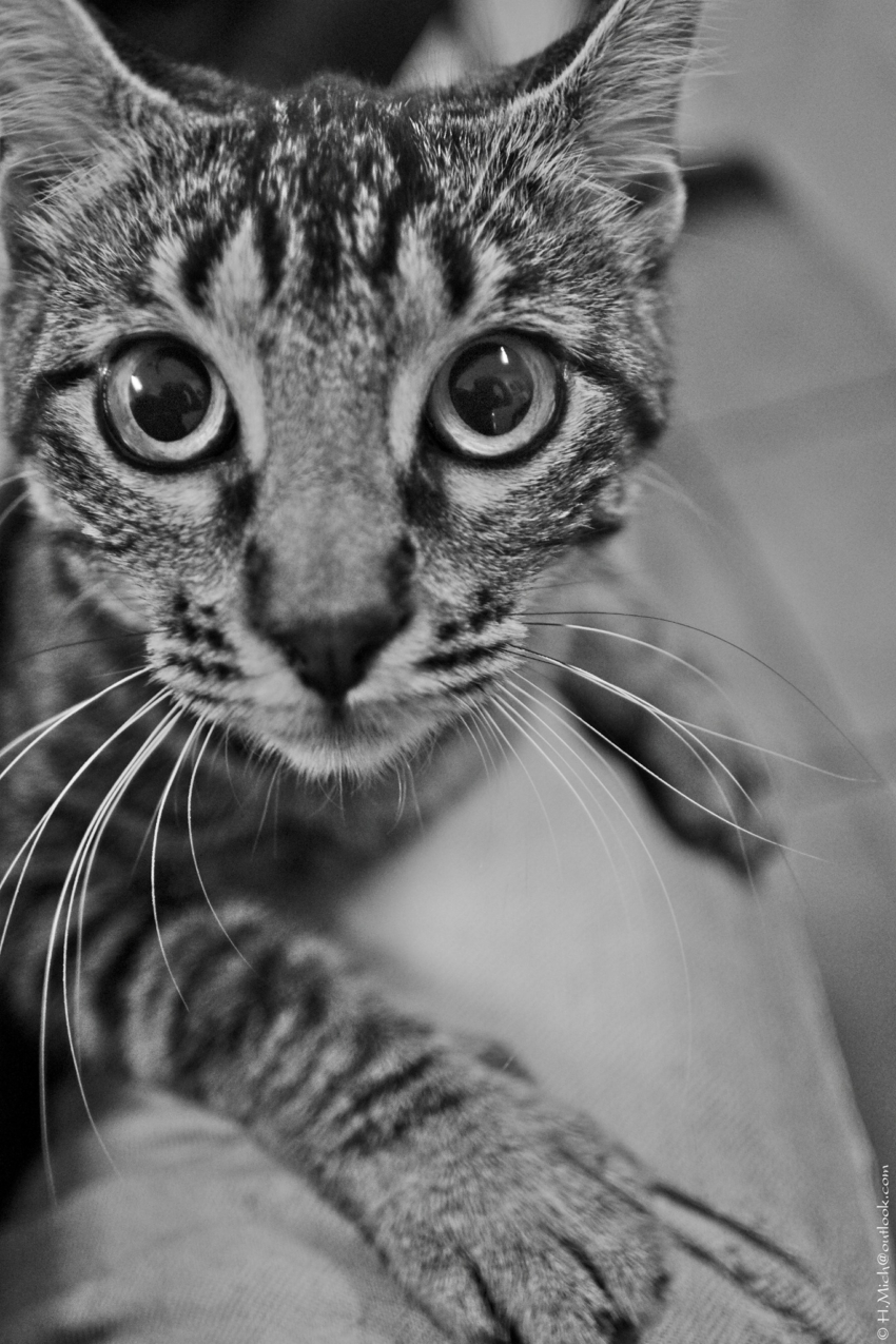 Studio-One.Art.br Repo Fotografia em Rio Preto SP/Brasil