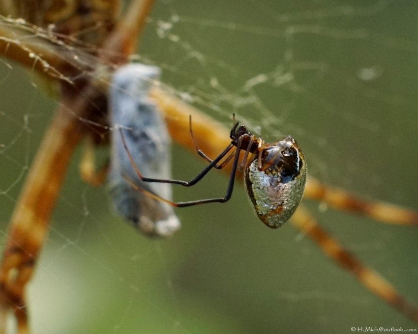 Studio-One.Art.br Repo Fotografia em Rio Preto SP/Brasil