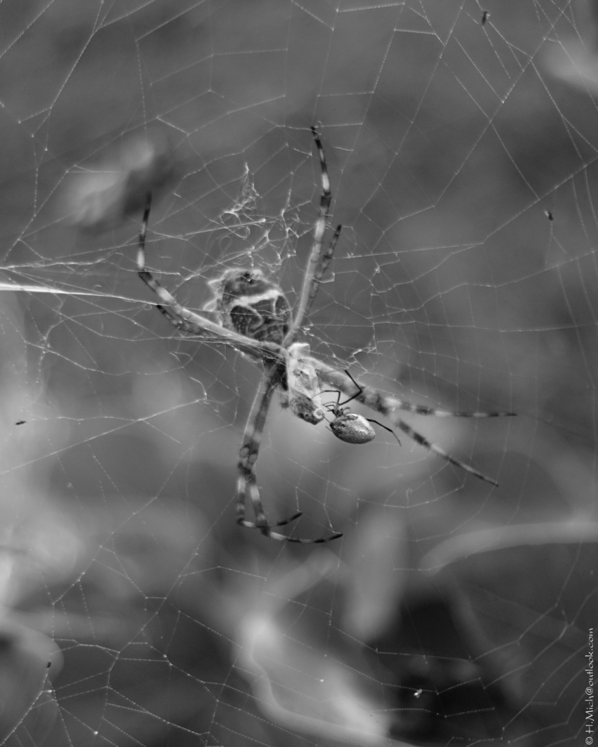 Studio-One.Art.br Repo Fotografia em Rio Preto SP/Brasil