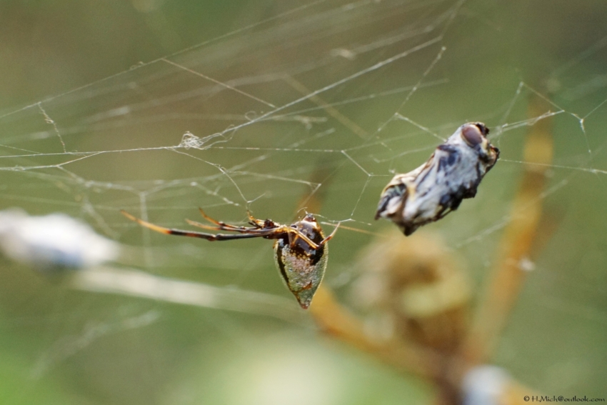 Studio-One.Art.br Repo Fotografia em Rio Preto SP/Brasil