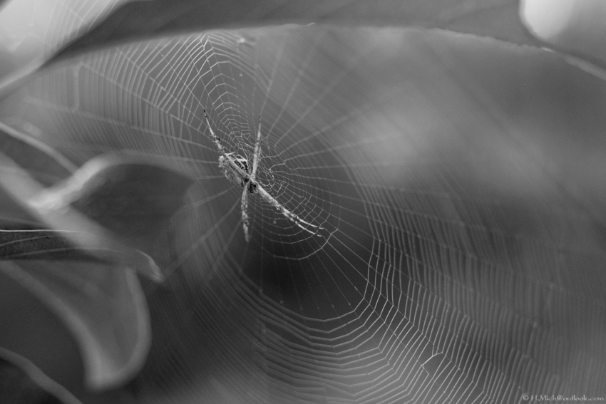 Studio-One.Art.br Repo Fotografia em Rio Preto SP/Brasil