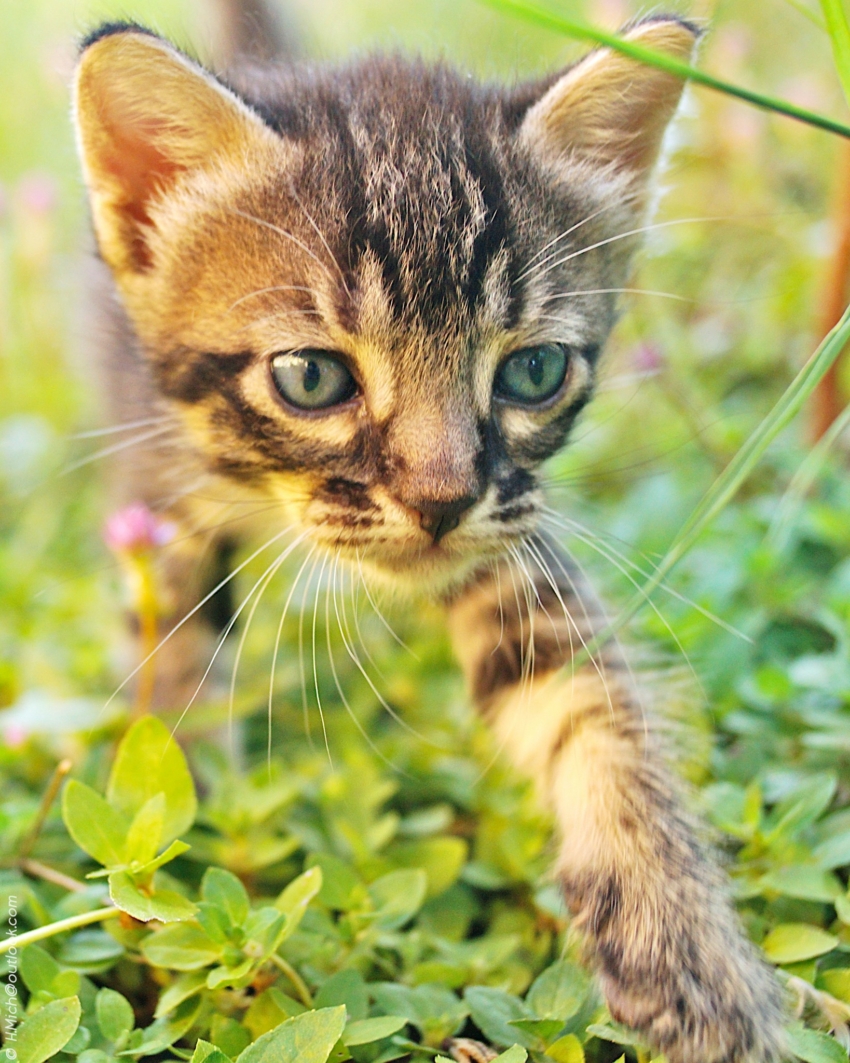 Studio-One.Art.br Repo Fotografia em Rio Preto SP/Brasil