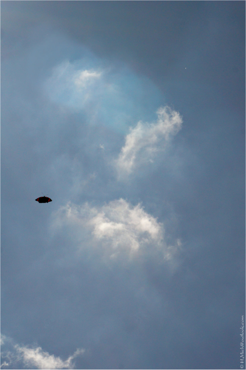 Studio-One.Art.br Repo Fotografia em Rio Preto SP/Brasil