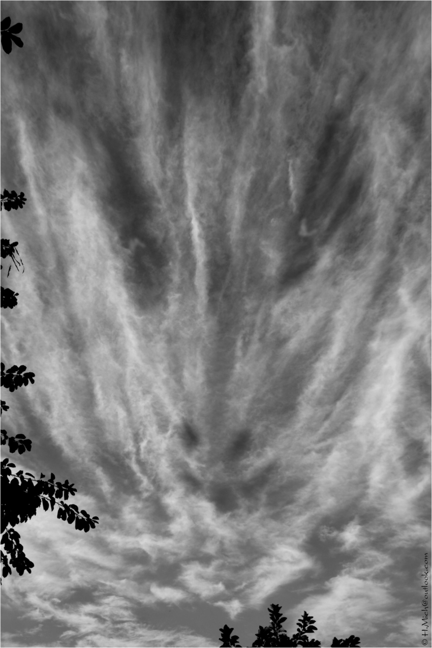 Studio-One.Art.br Repo Fotografia em Rio Preto SP/Brasil