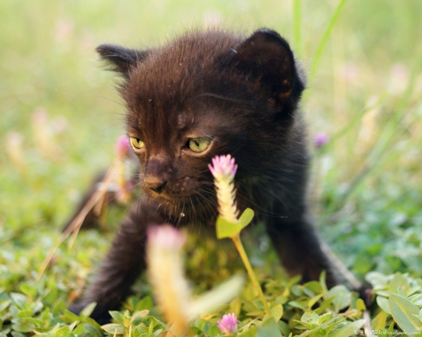 Studio-One.Art.br Repo Fotografia em Rio Preto SP/Brasil