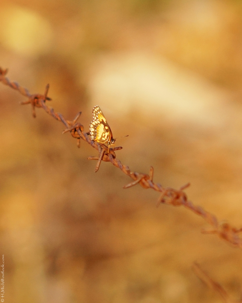 Studio-One.Art.br Repo Fotografia em Rio Preto SP/Brasil