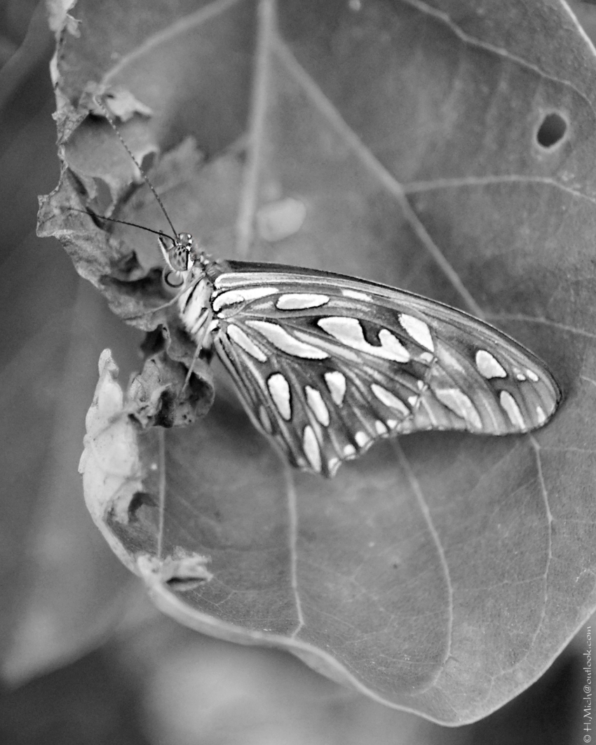 Studio-One.Art.br Repo Fotografia em Rio Preto SP/Brasil