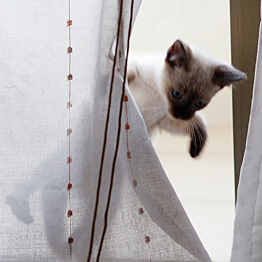 Studio-One.Art.br Repo Fotografia em Rio Preto SP/Brasil