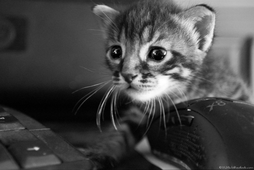 Studio-One.Art.br Repo Fotografia em Rio Preto SP/Brasil