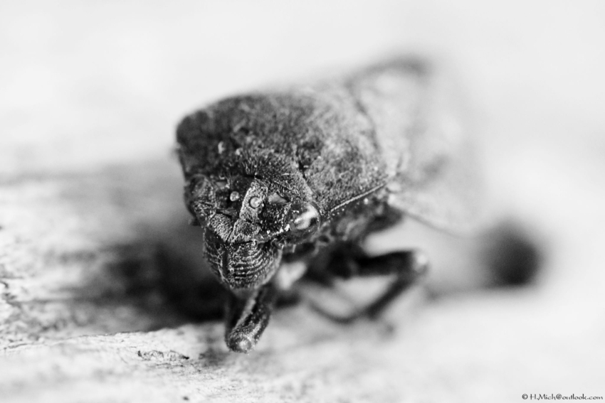 Studio-One.Art.br Repo Fotografia em Rio Preto SP/Brasil