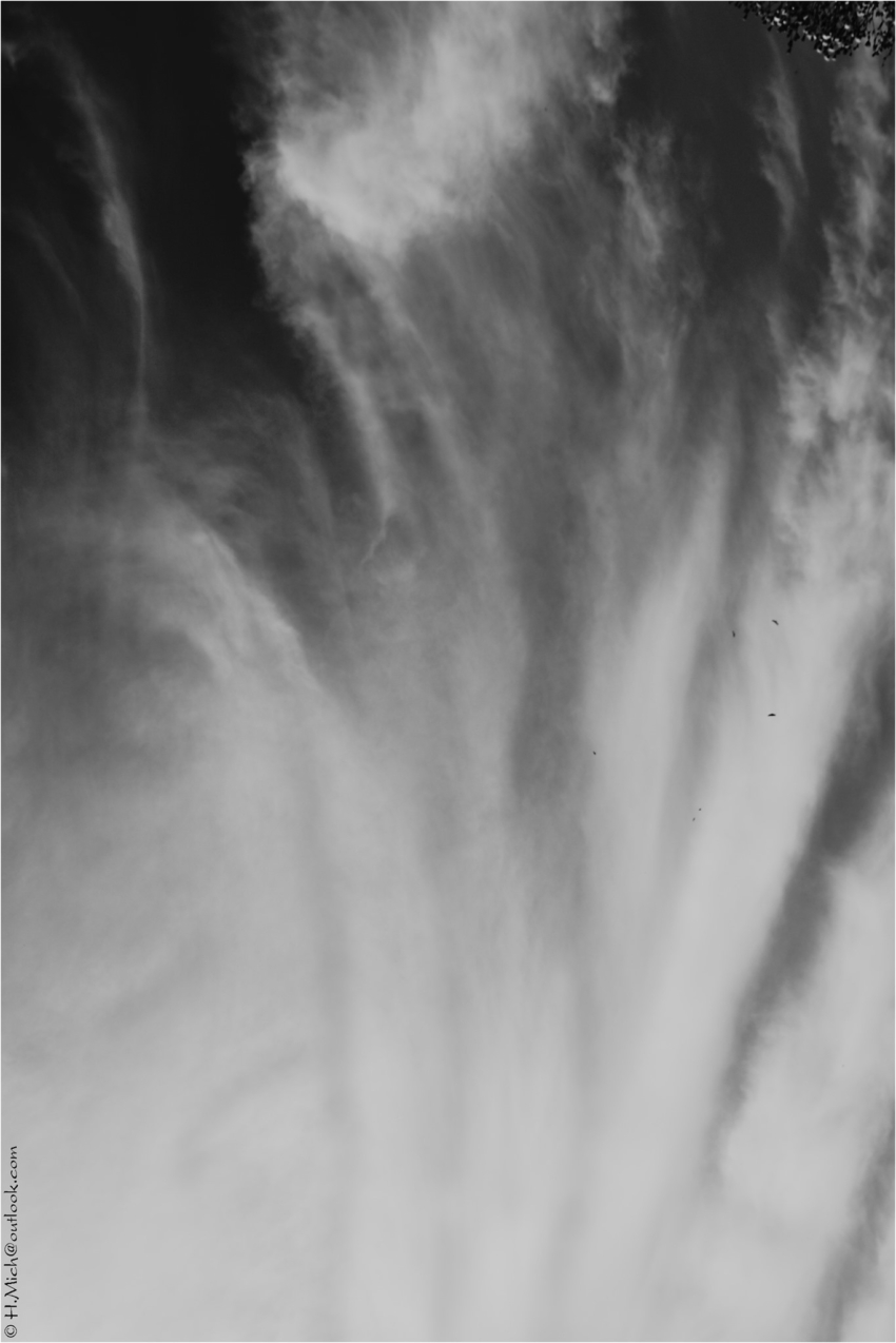 Studio-One.Art.br Repo Fotografia em Rio Preto SP/Brasil