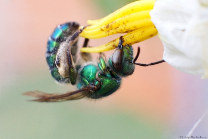 Studio-One.Art.br Repo Fotografia em Rio Preto SP/Brasil
