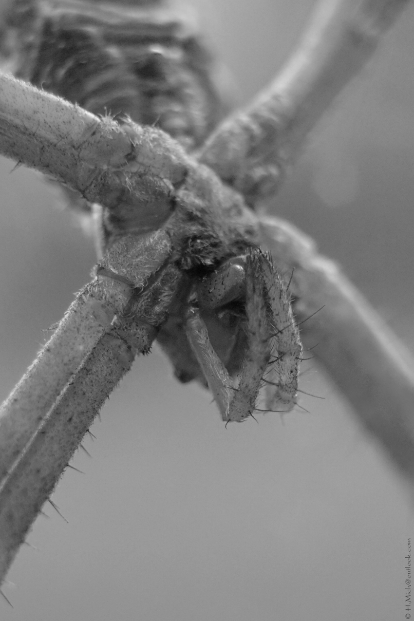 Studio-One.Art.br Repo Fotografia em Rio Preto SP/Brasil